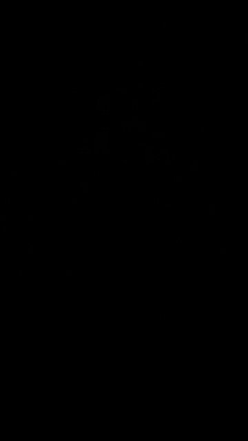 UFC match this weekend