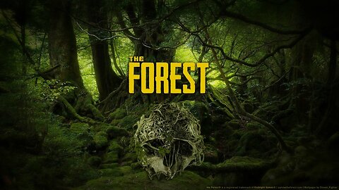 The Forest pt. 2