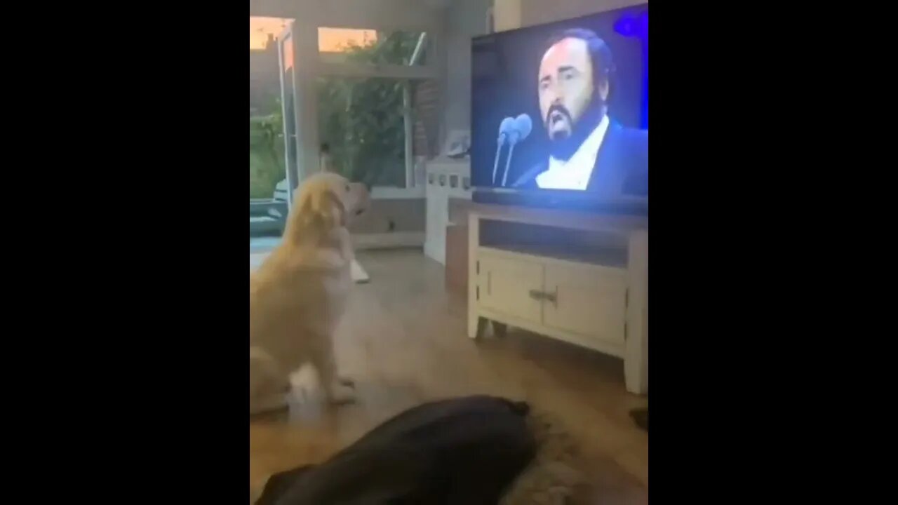 This doggo loves opera song