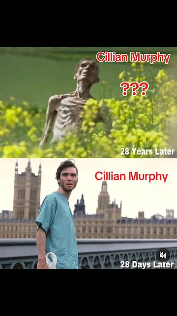 Cillian Murphy: The Tragic Fate After 28 Years