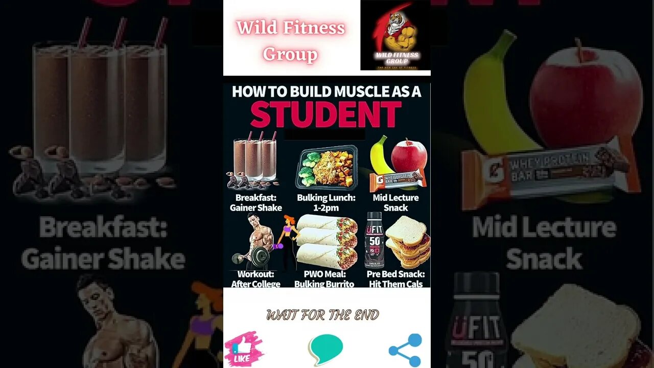 🔥How to build muscle as a student🔥#shorts🔥#wildfitnessgroup🔥16 August 2022🔥