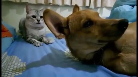 Hey You, Wake Up!