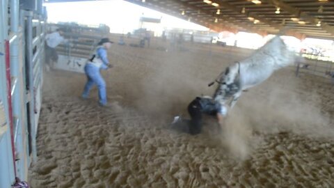 W.A.R. Bull Bucking