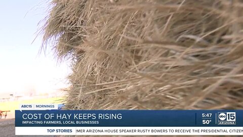 Cost of hay continues to rise, impacting farmers and local businesses