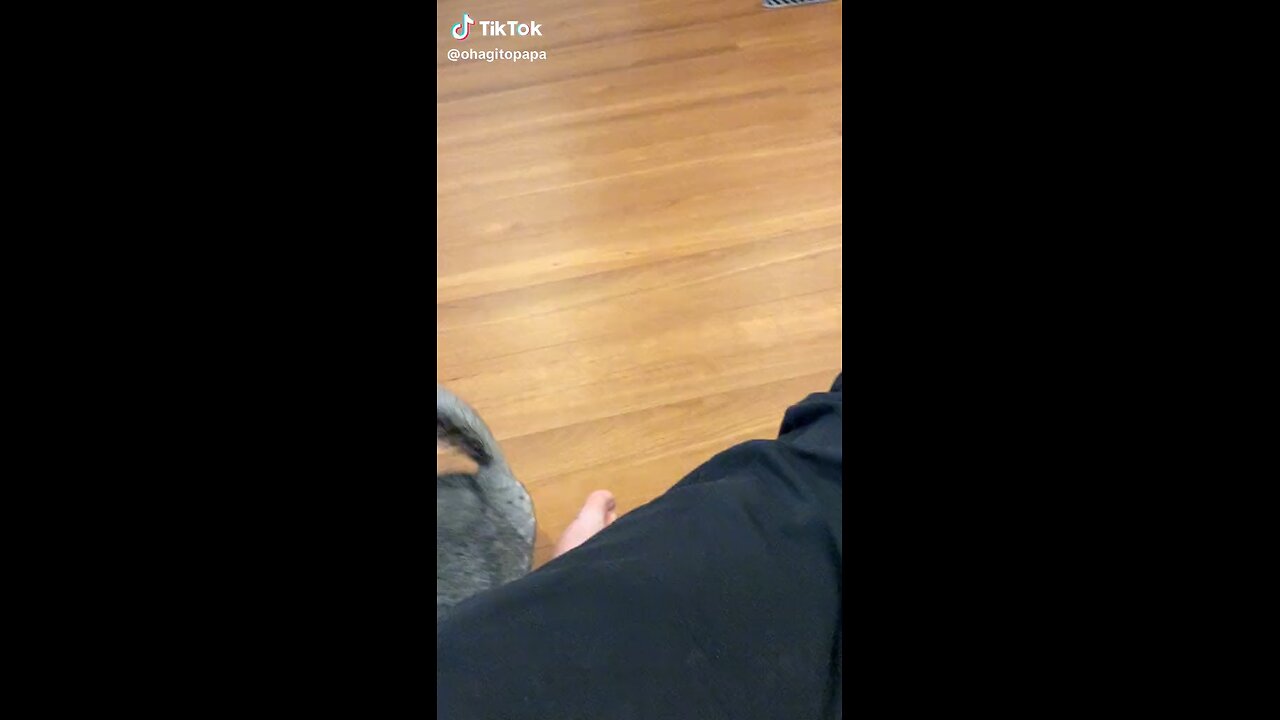 mouse wagging its tail like a dog