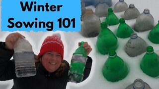 Winter Sowing 101