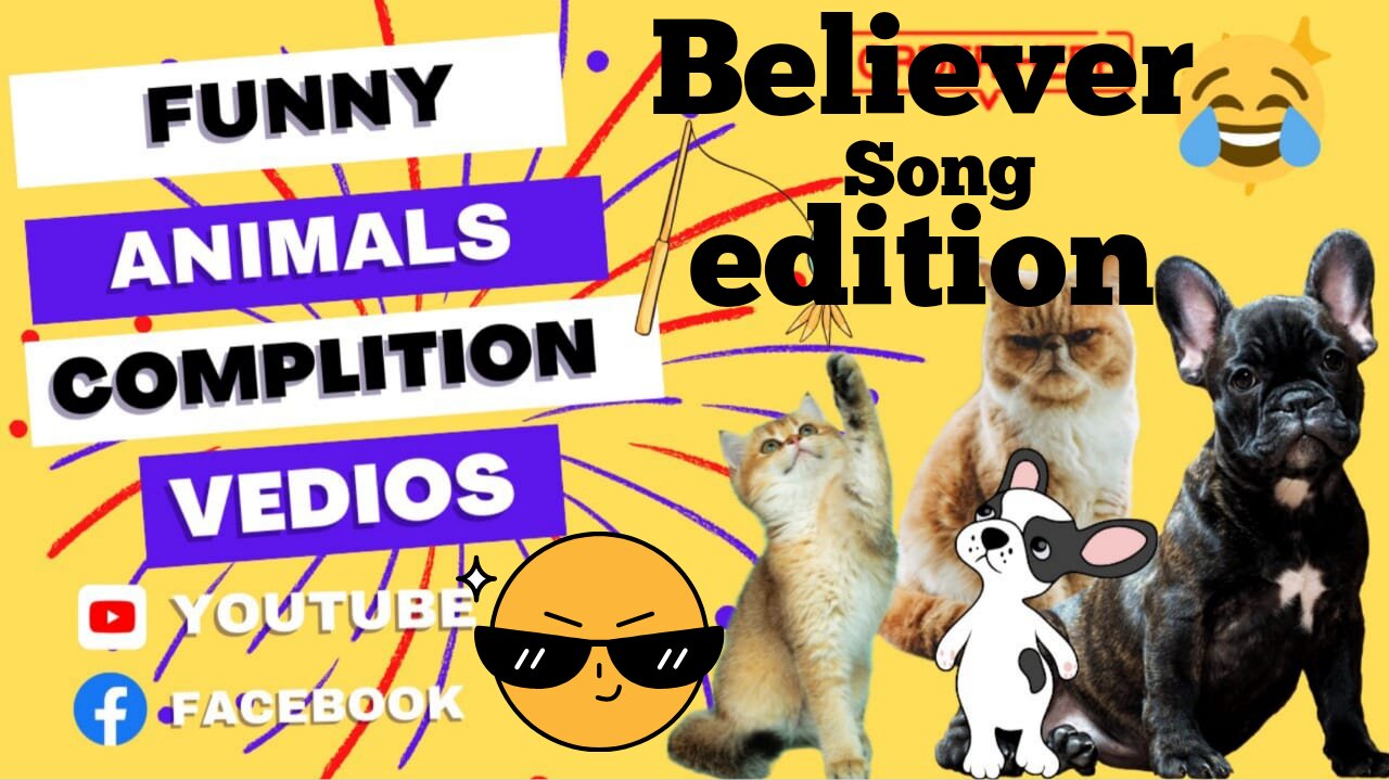 This will make you laugh|Believe song pets version funny video|