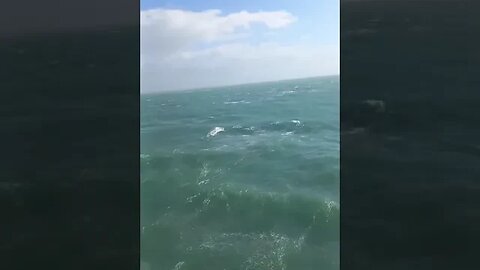 Beautiful Colors in Water