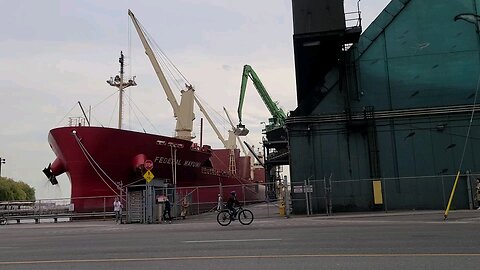 Sugar offloading at Redpath in Toronto, Canada