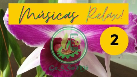 RELAXE !! OUÇA MUSICA EM TODO LUGAR. VOCÊ PODE! RELAXANTE OU ESTIMULANTE, NÃO IMPORTA...SEJA FELIZ!