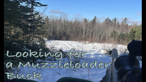 Looking for a Muzzleloader Buck