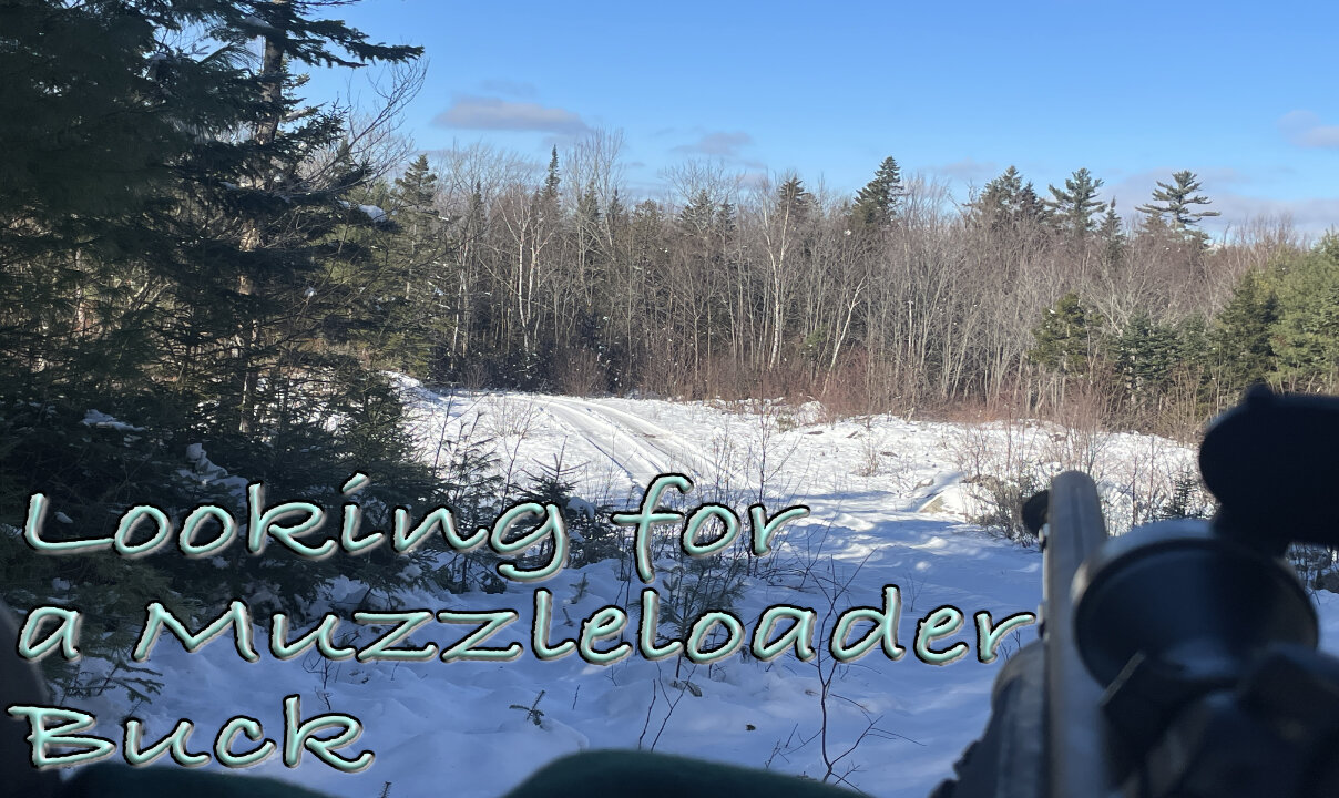 Looking for a Muzzleloader Buck