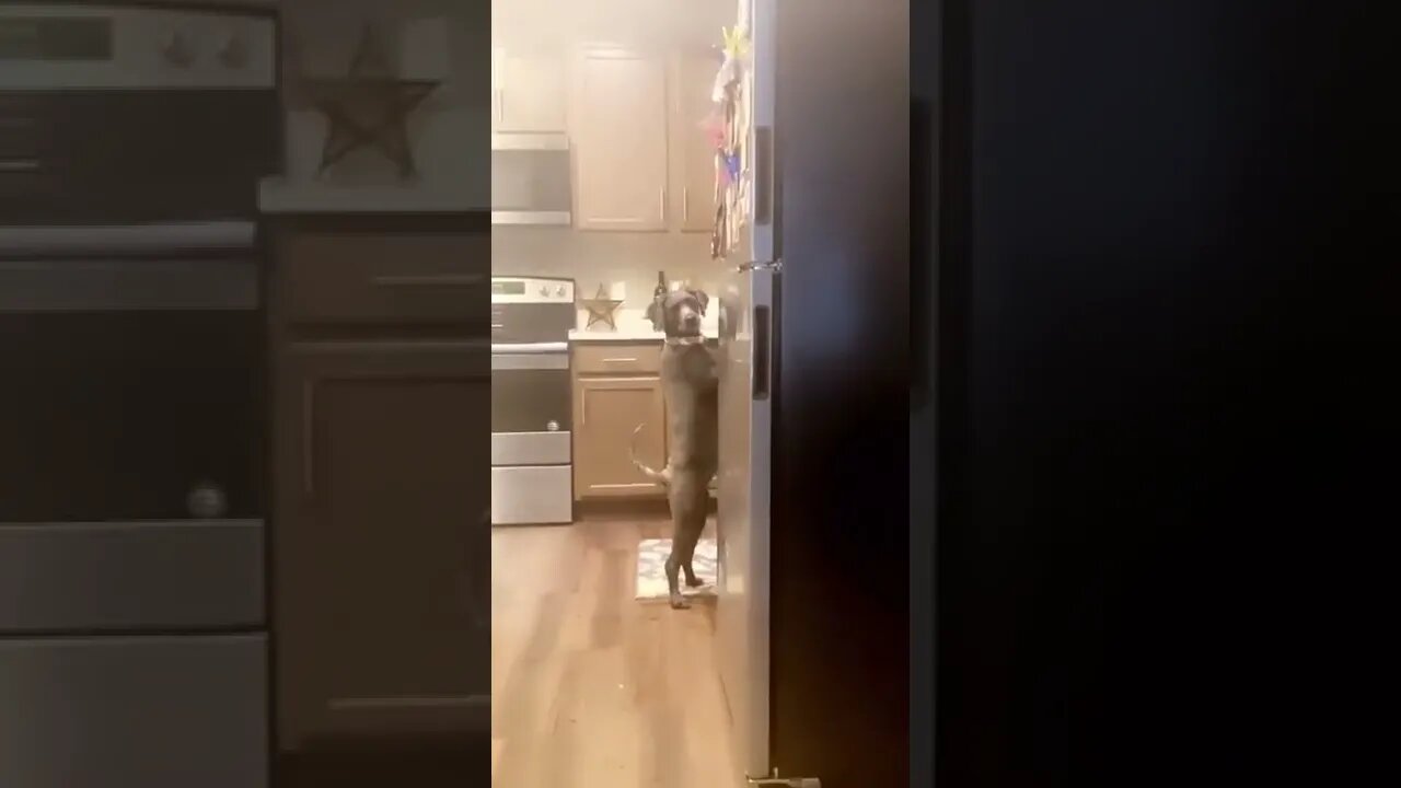 "Oh dang, they're onto me, time to act normal"