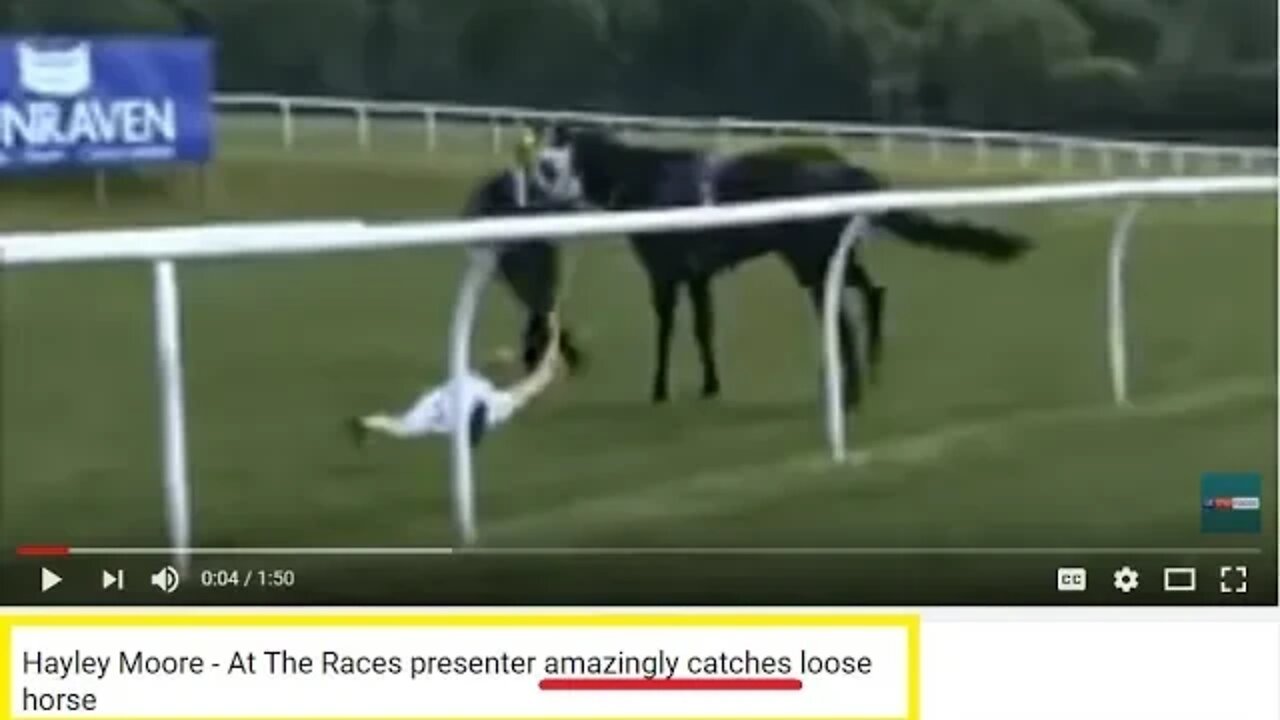 Runaway Horse Caught By News Reporter - Amazing Catch?