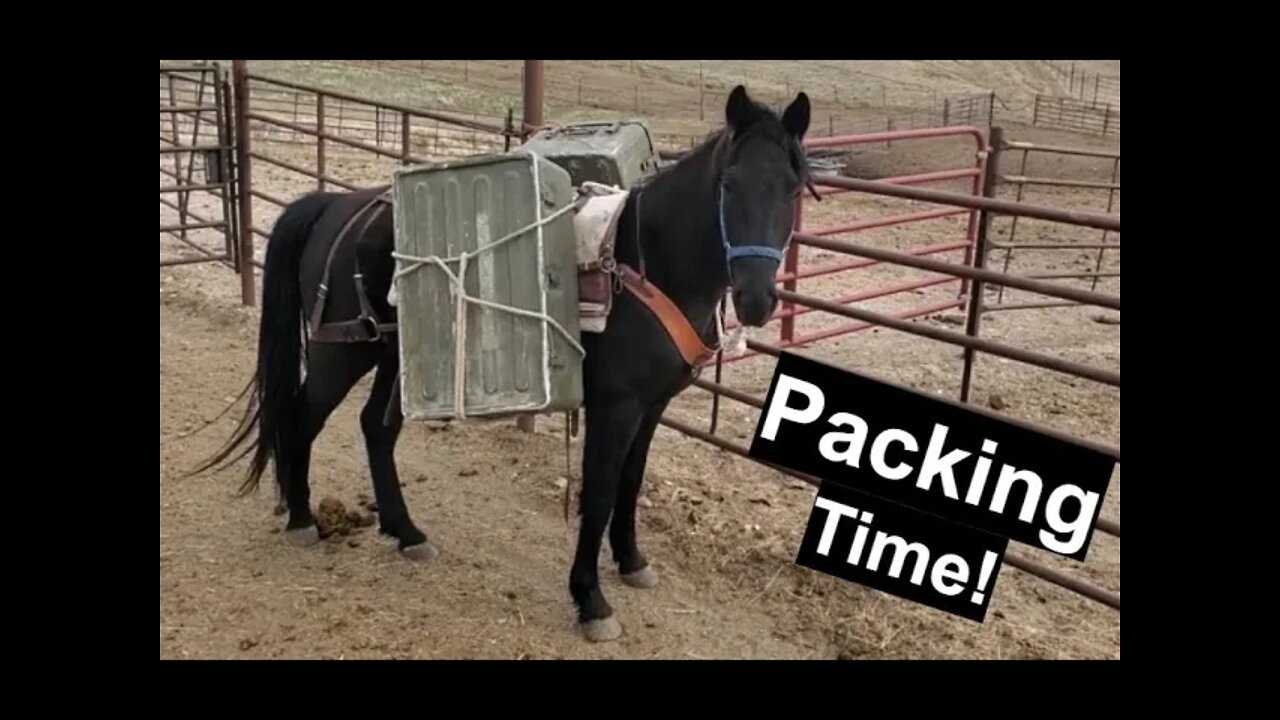 Horse Packing | Horse Training | Backcountry Packing Prep