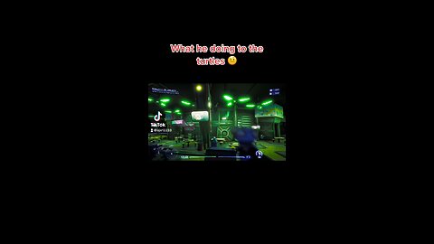 What he doing to the turtles 🤨