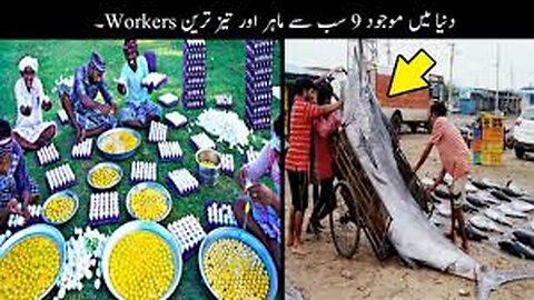 Most Talented Workers In The World _ Haider Tv