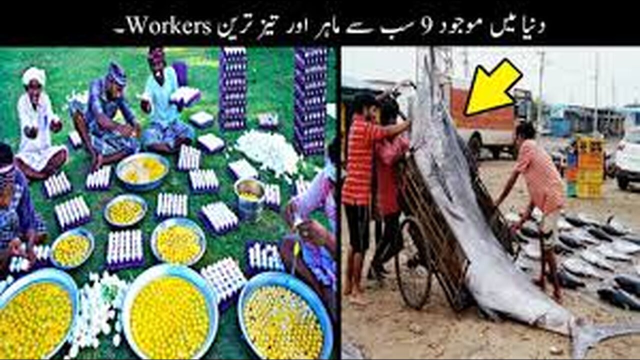 Most Talented Workers In The World _ Haider Tv