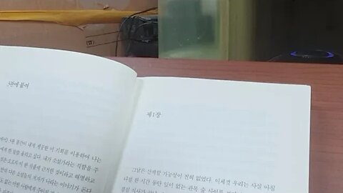 제인 에어1, 샬롯 브론테, 이덕형, 영국소설, 리드 부인, 일라이자, 존, 조지아나, 행복, 땅거미, 관목