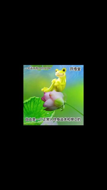 一句话开悟20220706