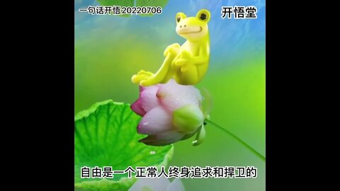 一句话开悟20220706