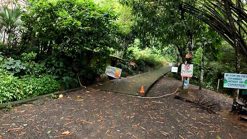 The Path to El Miro in Costa Rica Part: 3 "The Entrance"