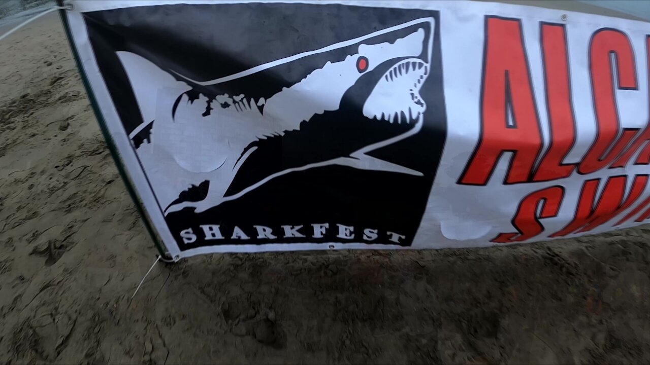 Sharkfest Alcatraz Swim, 2021