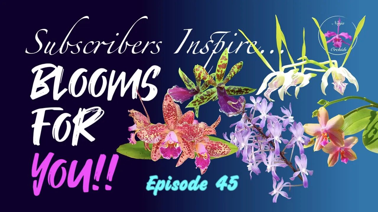 SUBSCRIBERS INSPIRE| You color my life | Blooms for YOU! Episode 45 πΈπΊπΌπ#Orchids #OrchidsinBloom