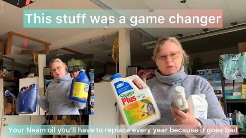 How I fertilize and deals pest control in my garden