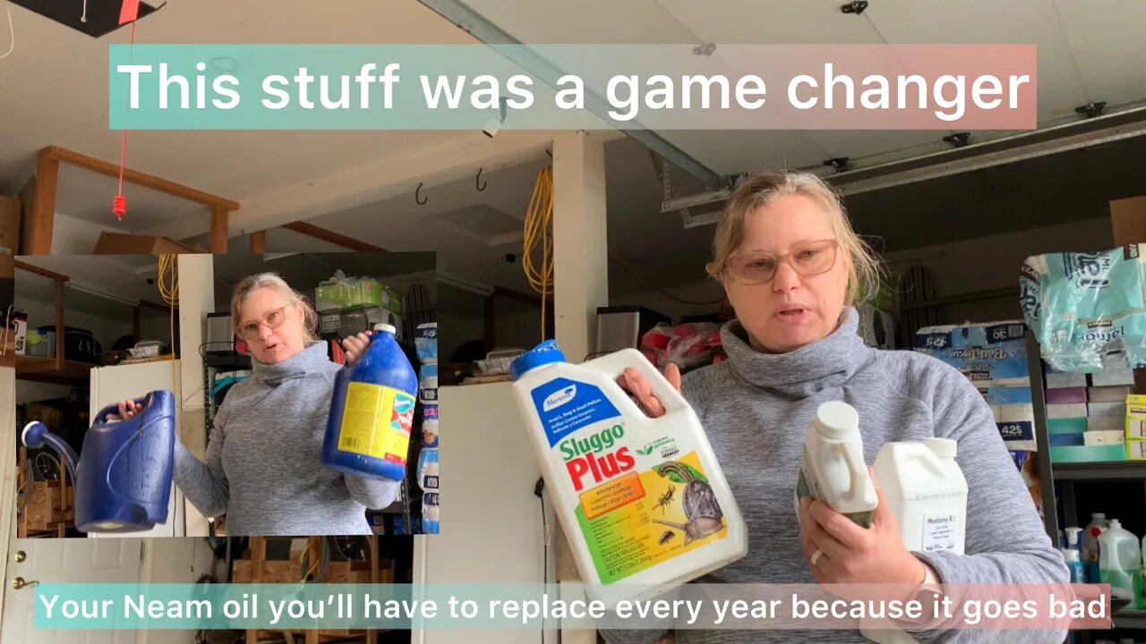 How I fertilize and deals pest control in my garden