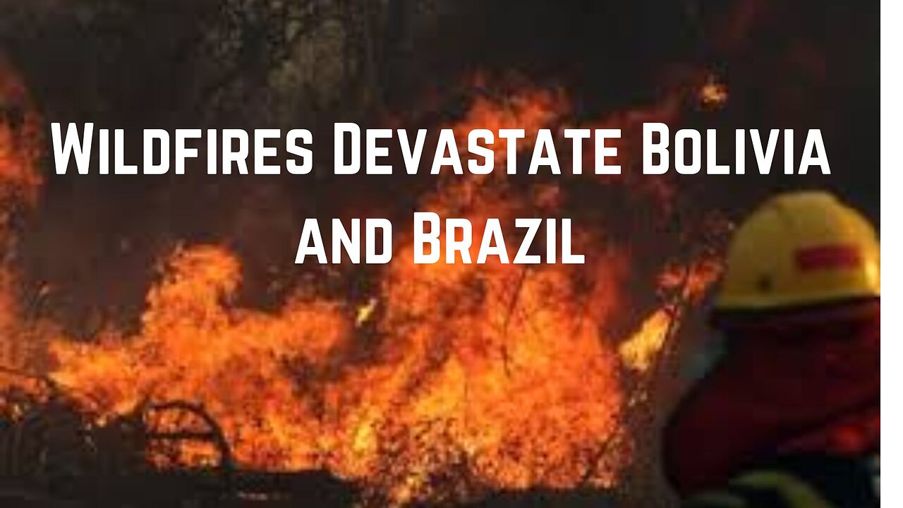 Wildfires Devastate Bolivia and Brazil: Urgent Call to Action