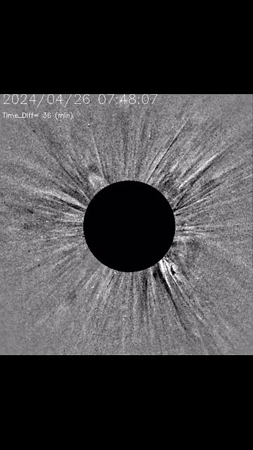 Sun Bathing at a Whole New Level