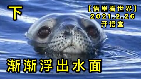 KWT1179(下)渐渐浮出水面20210226-3【悟里看世界】