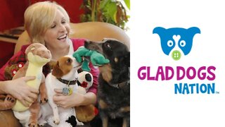 Interview with Marianne Ahern of Glad Dogs Nation