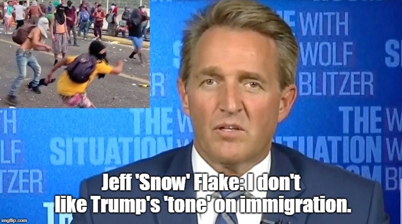 Jeff Flake slams Trump's 'tone' on immigration