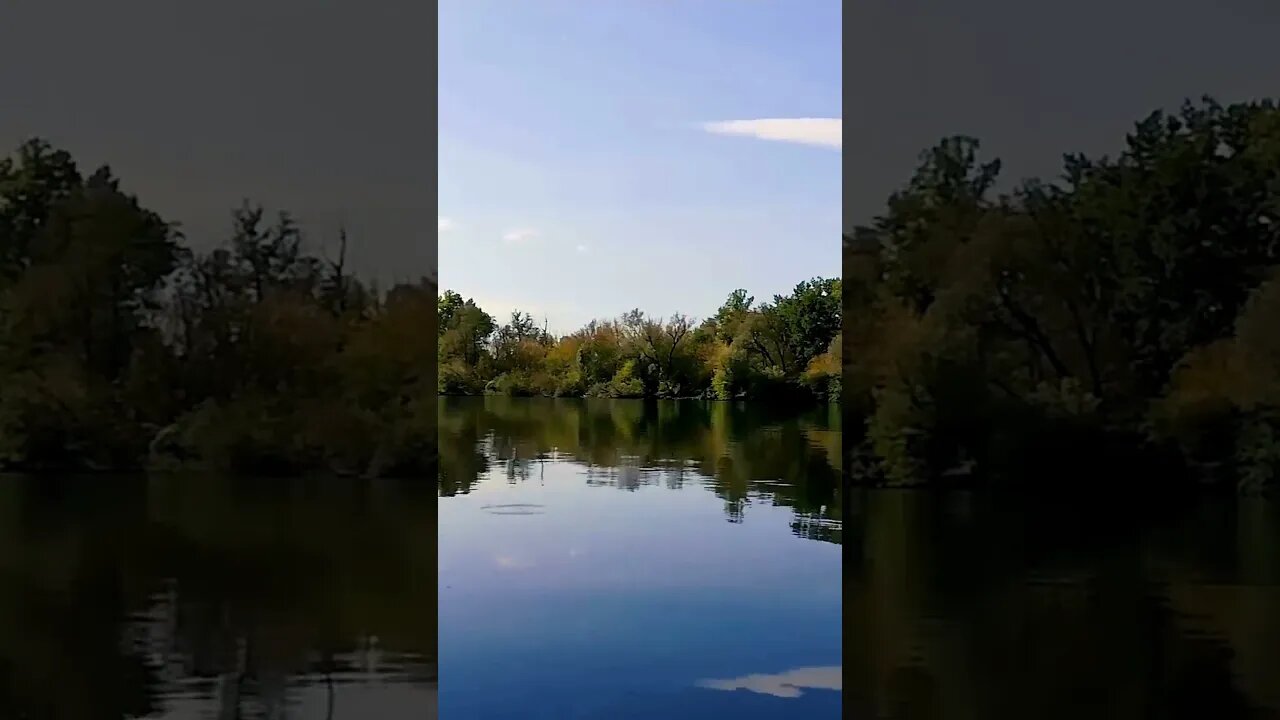 Wetlands Nature Reserve - #calm #nature #calmingsounds #meditationaudio #focus #forest #naturesounds