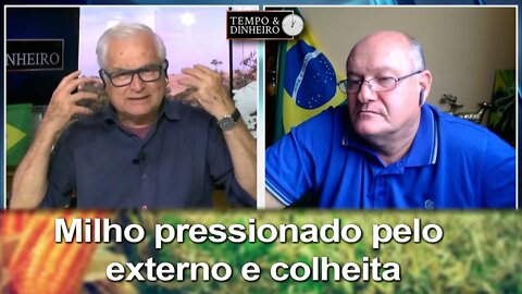 Milho pressionado pelo externo e colheita