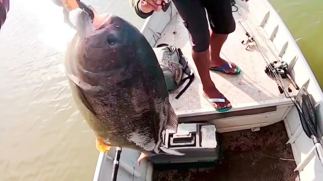 Aluguel de Rancho em Três Marias pescaria de piranha , dourado e tucunaré.