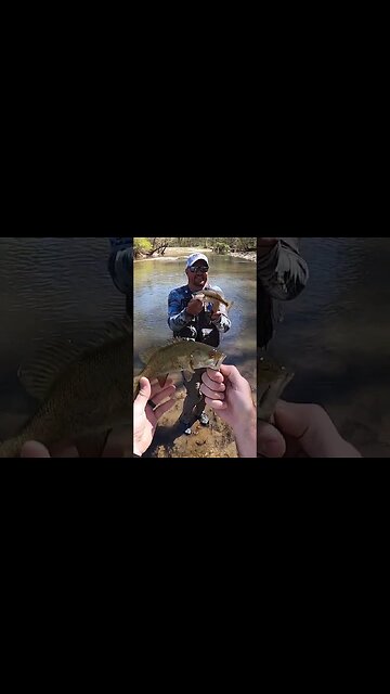 He brought a tiny hand fishing!