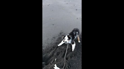 Loving us some beach time