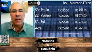 Boi gordo pressionado pela China, dólar, clima e pico de safra