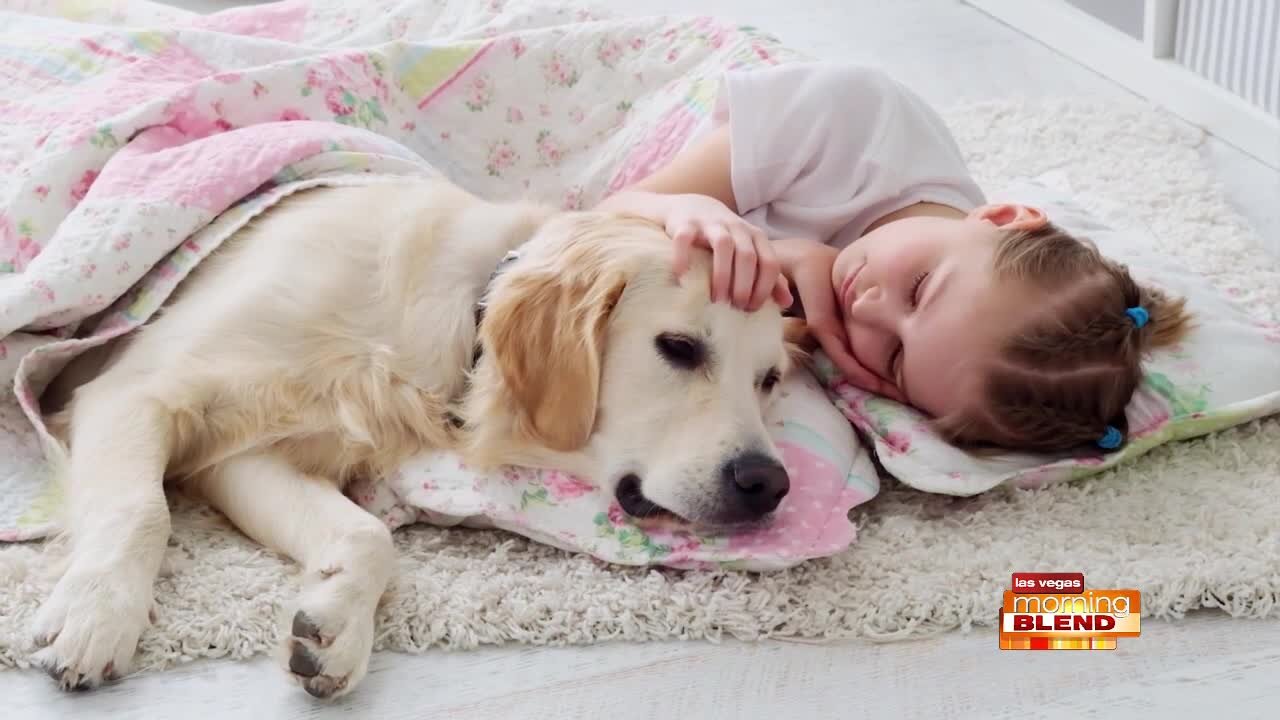 Proin ER Canine Incontinence
