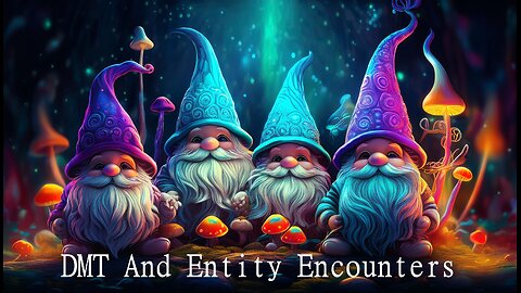 DMT And Entity Encounters