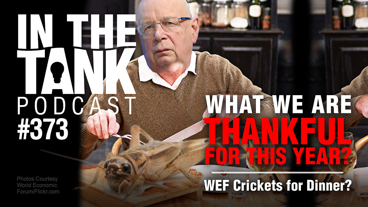 What Are We Thankful For This Year? - In The Tank, ep373