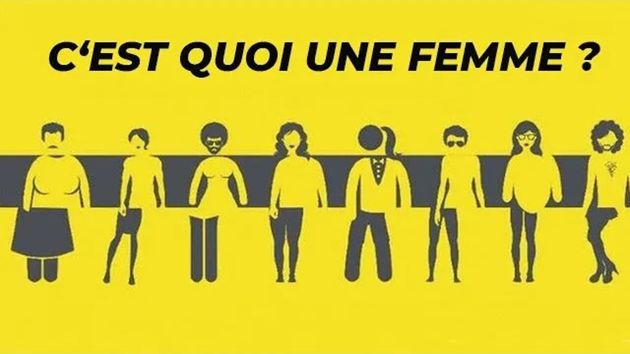 C'EST QUOI UNE FEMME ? #er #mattwalsh #touchepasàmonyoutube #tpmy #identité #société