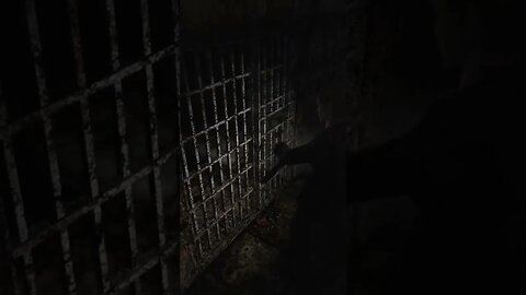 Silent Hill 2 just shooting defenceless prisioner nothing much #jamessunderland #gameplay #prisoner