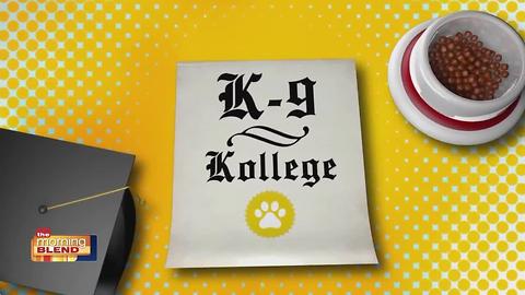 K9 Kollege: Island Animal Hospital