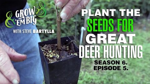 Plant the Seeds for Great Hunting With Chestnut Trees