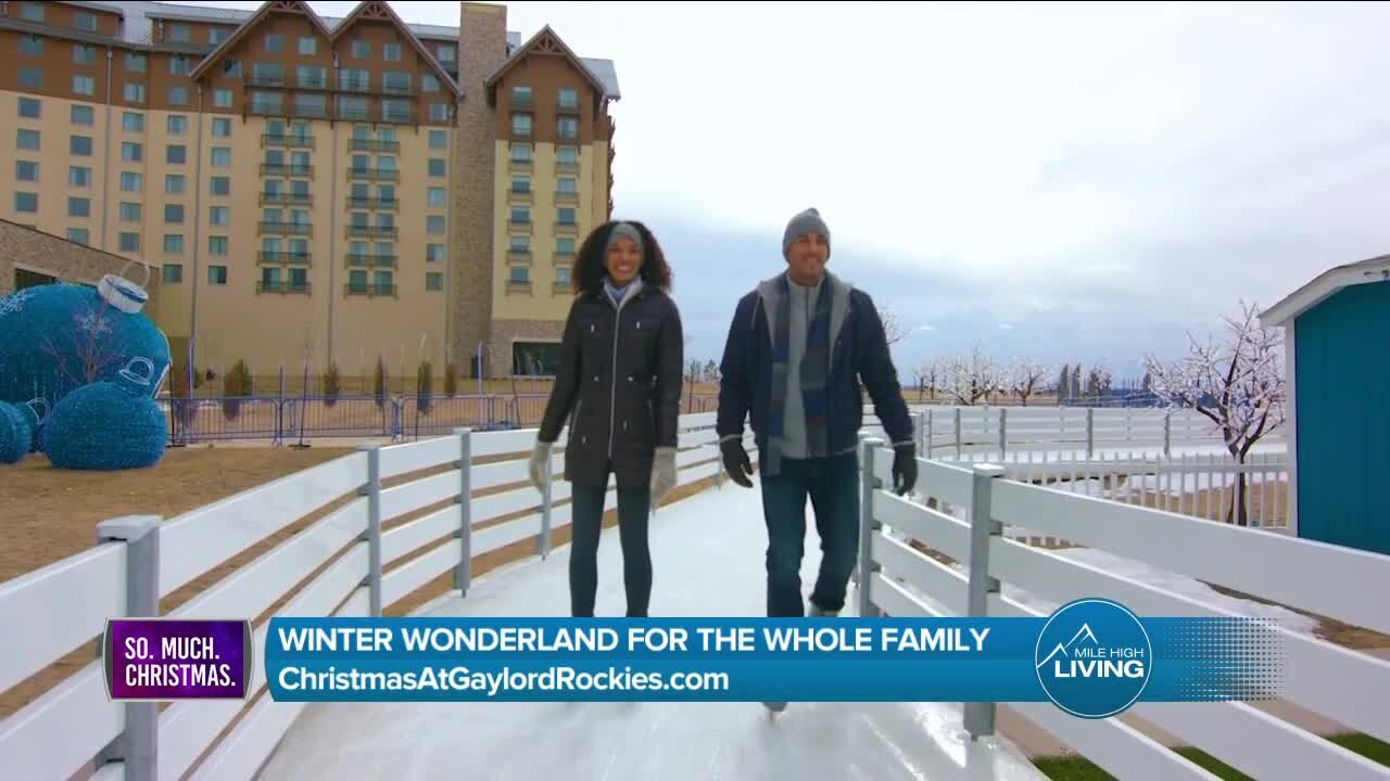 Holiday For The Whole Family // Gaylord Marriott