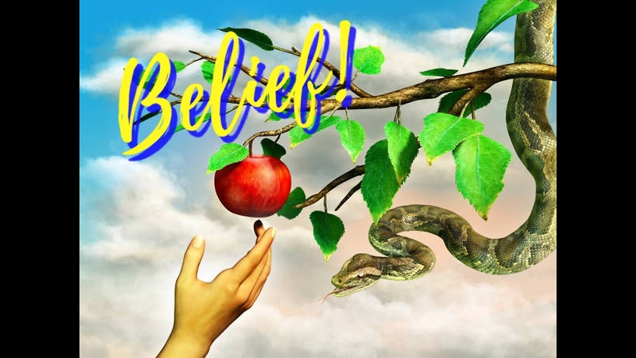 Let's talk about "belief"!